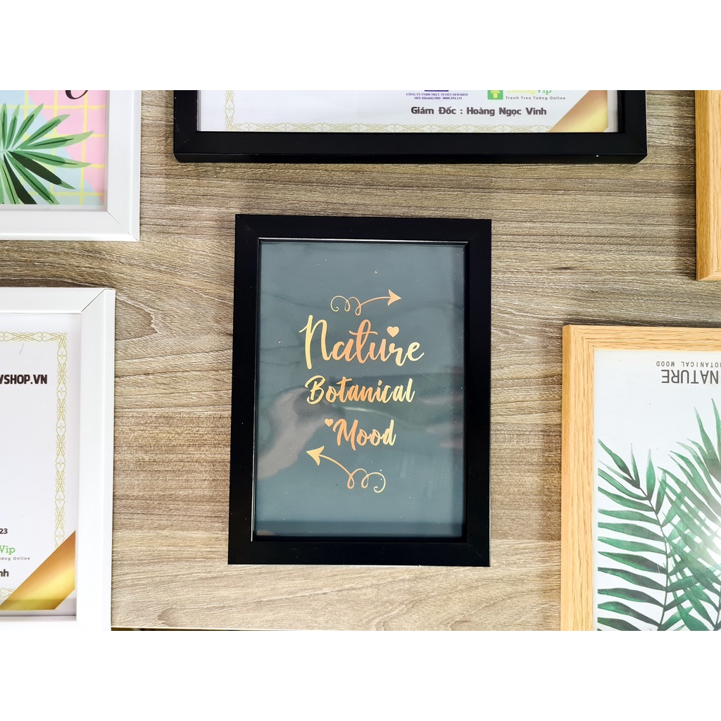 Khung Ảnh - Khung Bằng Khen 15x21cm /13x18cm - Khung Composite, Mặt Mica Treo Tường Để Bàn TƯỜNG VIP