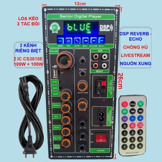 Mạch loa kéo 2 kênh livestream dsp reverb – echo chống hú 2 ic cs3818e 100w + 100w – loa kéo 3 tấc đôi