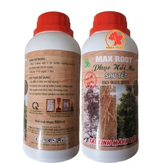 MAX ROOT – PHỤC HỒI MAI SAU TẾT 500ml