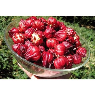 Trà hoa dâm bụt ( hibiscus, atiso đỏ) khô 100g