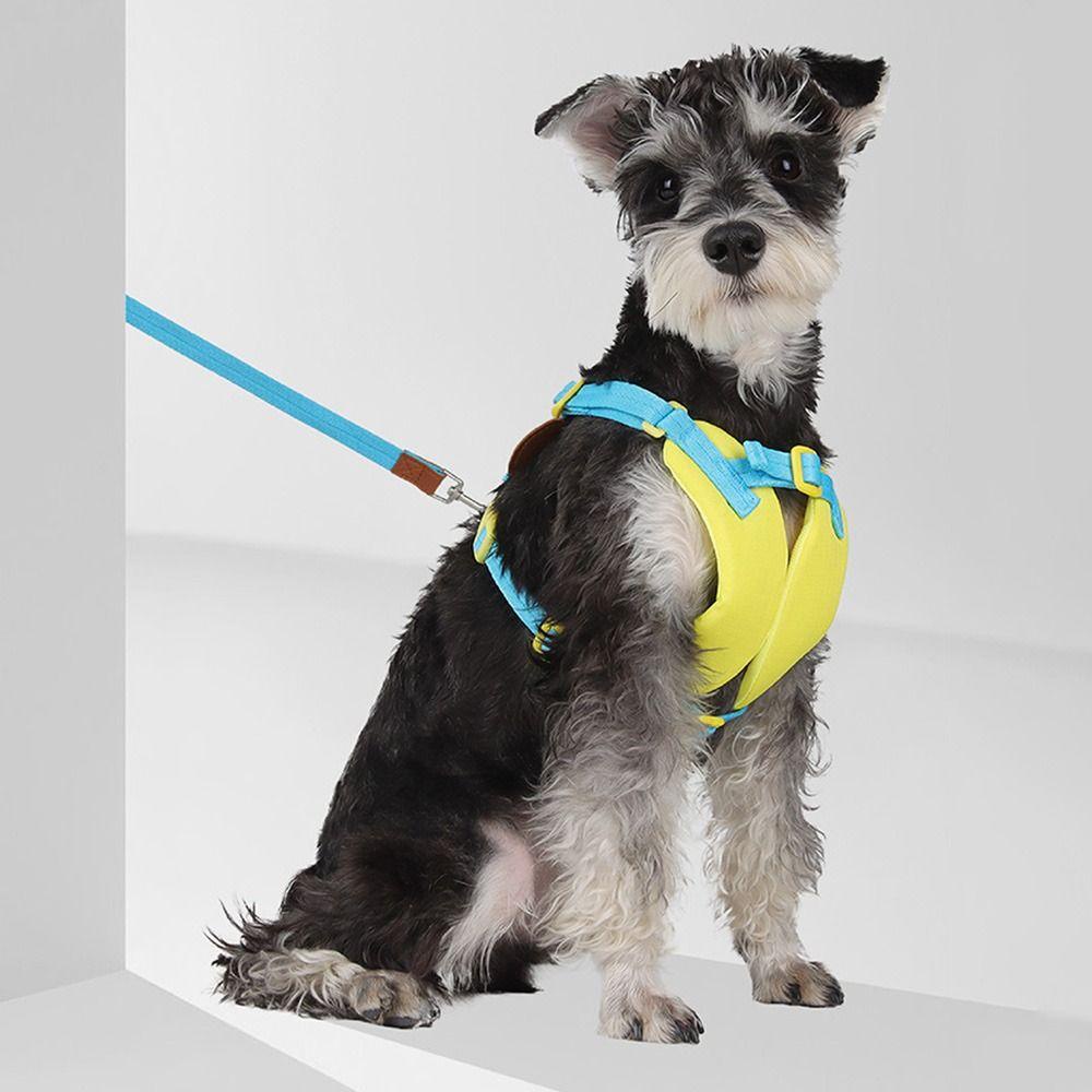 Dây Dắt Thú Cưng Đi Dạo Dễ Thương Điều Chỉnh Được LAYOR1