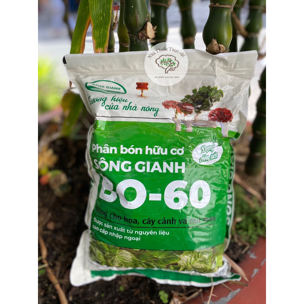 2Kg Phân Bón Viên Hữu Cơ Sông Giang BO-60 cho Hoa Cây Cảnh - Rau Màu và Các Loại Cây Ăn Trái