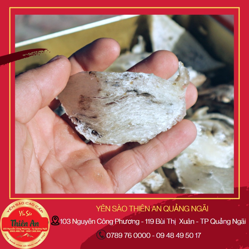 (YẾN THÔ BỂ,GÓC) Ít Lông Nguyên Chất - Yến Sào Thiên An Quảng Ngãi