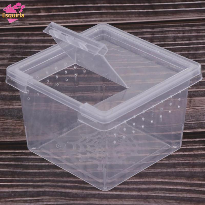 Bộ 40 Hộp Đựng Thức Ăn Trong Suốt Cho Bò Sát / Bò Sát / Thằn Lằn / Bò Sát