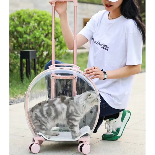 Vali kéo trong suốt dành cho chó mèo 2in1