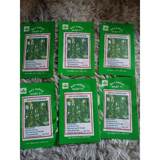 20 hạt giống dưa leo nhật bản trái dài F1 năng suất ( dưa chuột nhật)