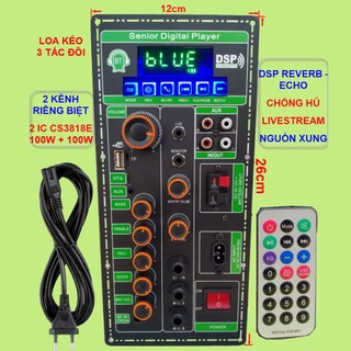 Mạch loa kéo 2 kênh livestream dsp reverb – echo chống hú 2 ic cs3818e 100w + 100w – loa kéo 3 tấc đôi