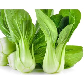 Hạt giống rau cải thìa f1 100gram