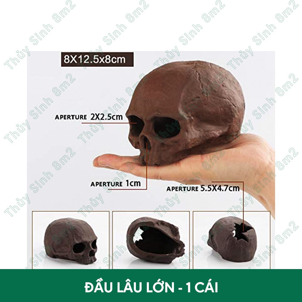 Đồ Chơi Tép Cảnh, Hang Cá Pleco, Hang Gốm Trang Trí | 8m2