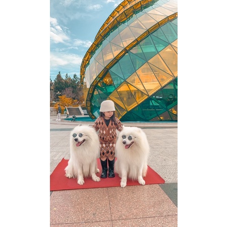 Set len bé trai gái