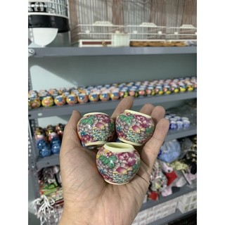 Cóng Sứ cho chim choè đất, oanh, yến, tiểu mi