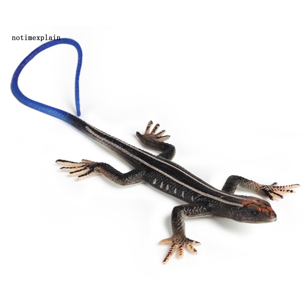 Thằn Lằn Giả Nhiều Màu Trang Trí Nhà Cửa