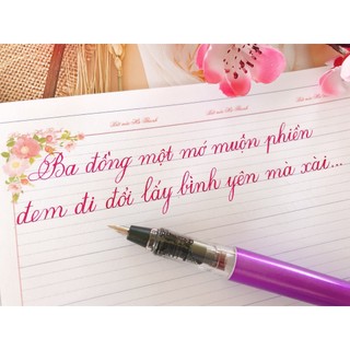 🌼 Bút mài LeTa 369 ngòi lá tre