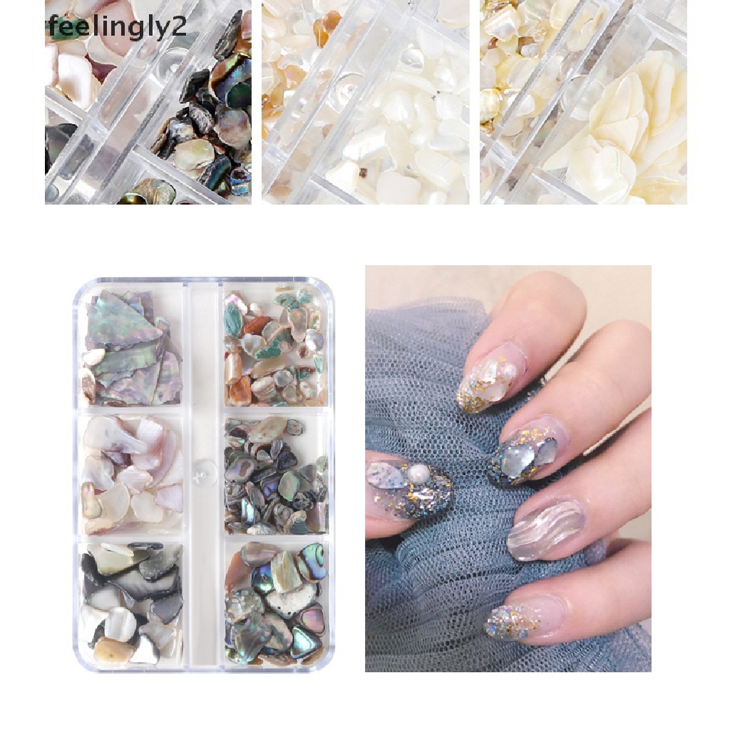 Hộp Vỏ Sò 3D Trang Trí Móng Tay 6 Ngăn Độc Đáo DIY