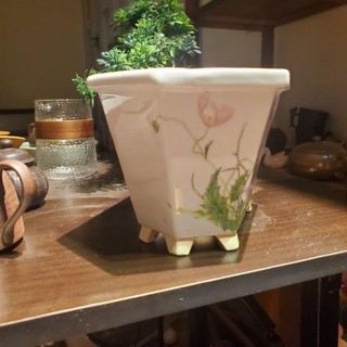 Chậu trồng cây bonsai