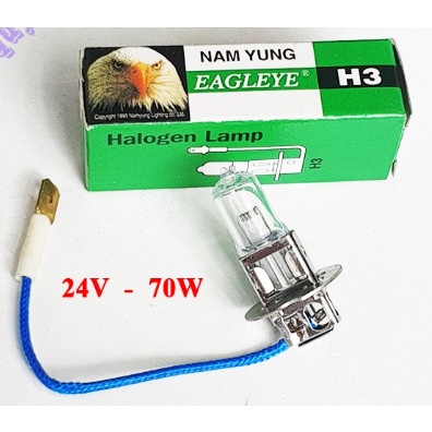 bóng h3 24V con cú