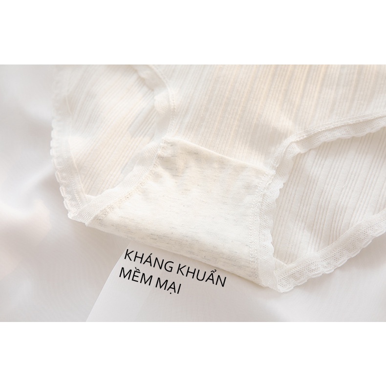 Quần lót nữ cotton gân tăm hoạ tiết quả cam Ame Beauty, set 5 quần chíp nữ kháng khuẩn mã 313
