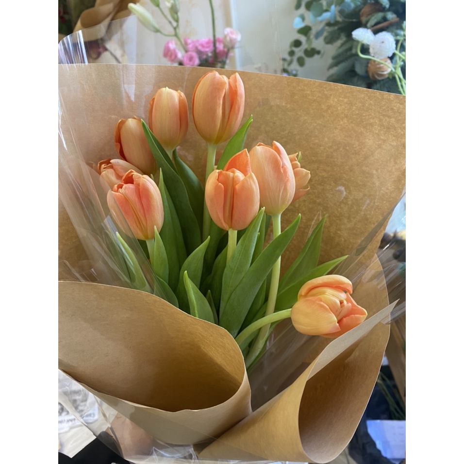 Tulip lên bó theo màu và các kiểu gói |  Tulip Hà lan Nhập khẩu