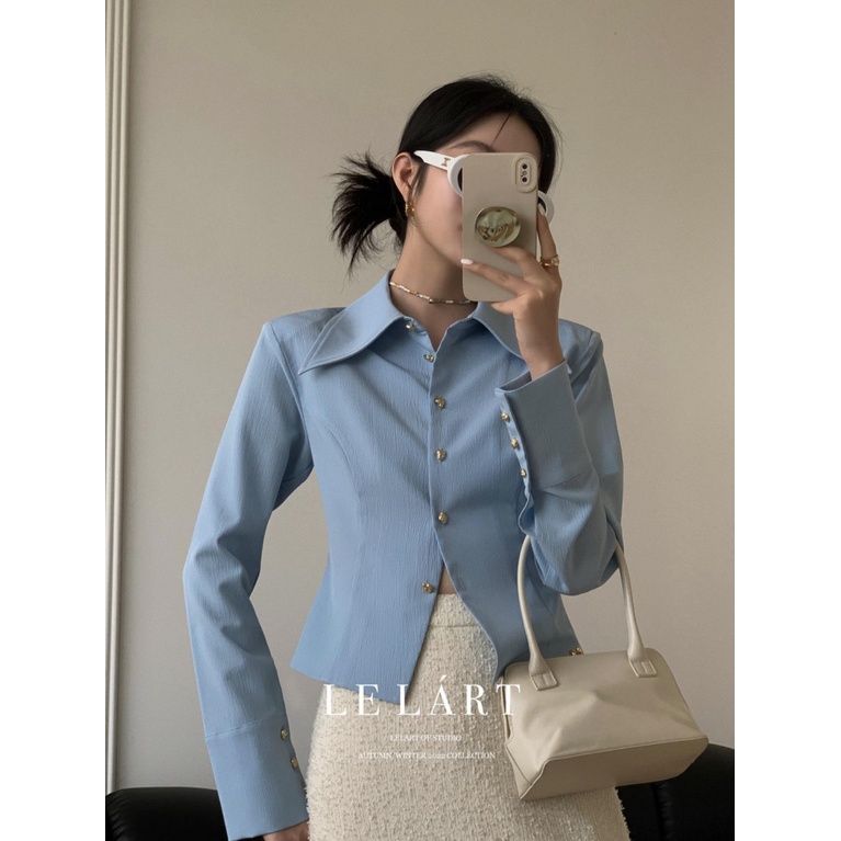 Mùa Xuân Thu Thiết Kế Ban Đầu Phong Cách Pháp Cổ Mũi Nhọn Sang Trọng Màu Trơn Đơn Ngắn Tay Dài Phong Cách Phương Tây Áo Sơ Mi Nữ