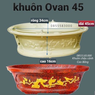 Khuôn đúc chậu bonsai ovan 45