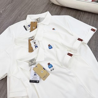 [CHAN BIGSIZE] Áo polo gấu tay ngắn basic bigsize