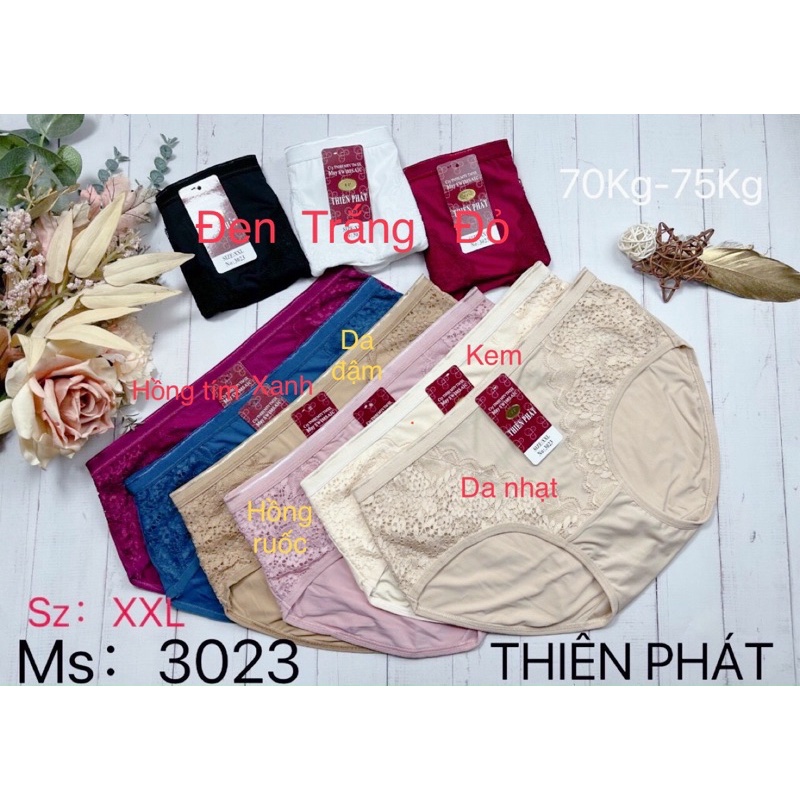 QUẦN LÓT THIÊN PHÁT 3023 thun lạnh cao cấp