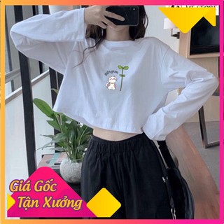 Áo thun tay dài thu đông croptop in hình mèo cỏ 3 lá Ulzzang form rộng dáng rộng chất liệu 100% cotton