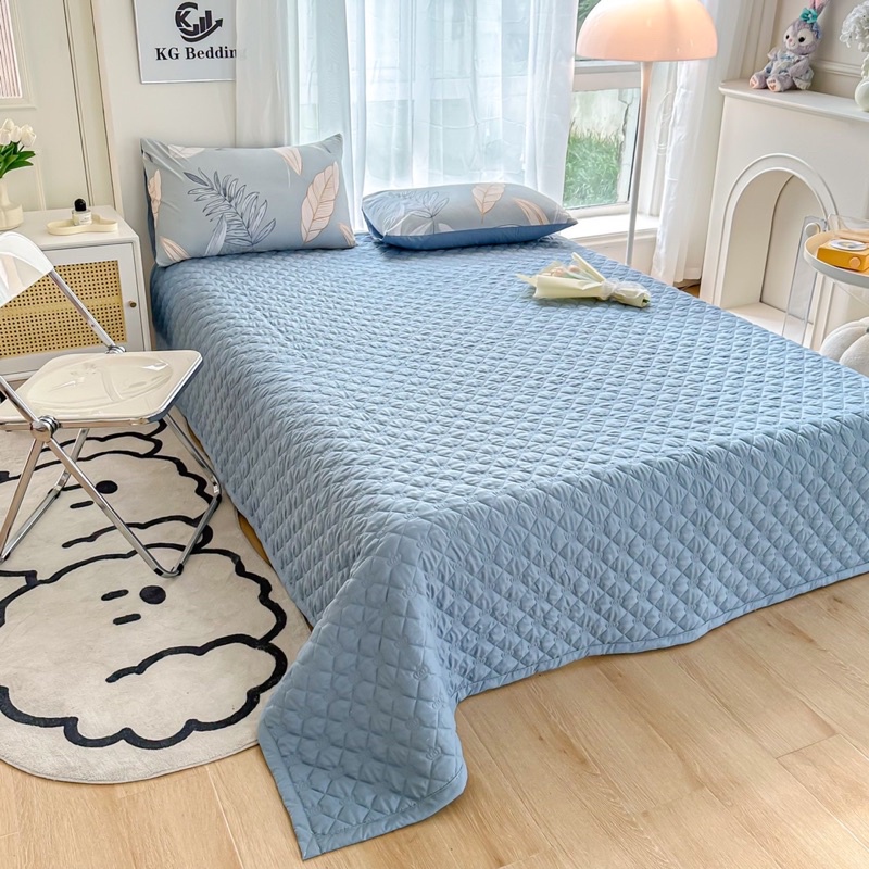 ❤️Freeship🌿 Bộ chăn ga gối cotton đũi trần 5 món - chăn ga đều chần chắc chắn