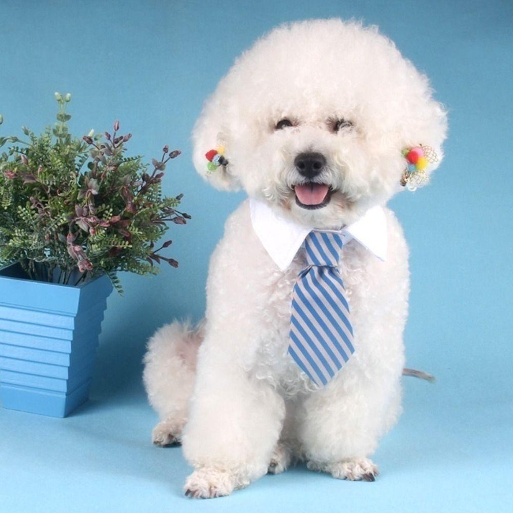 Vòng Cổ Thắt Nơ Có Thể Điều Chỉnh Kích Thước Dành Cho Thú Cưng