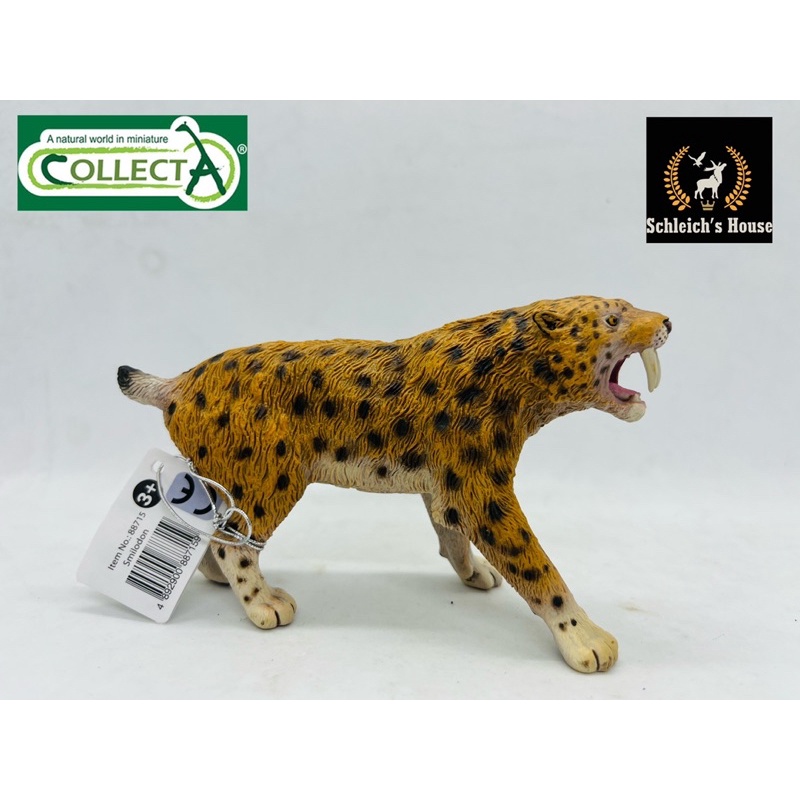 Mô hình động vật , đồ chơi con vật CollectA chính hãng Hổ răng kiếm Smilodon 88715 - Schleich House