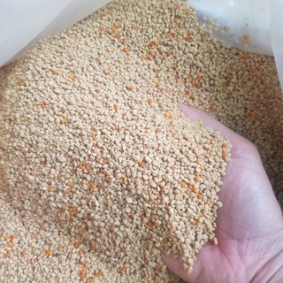 1kg phấn hoa cf