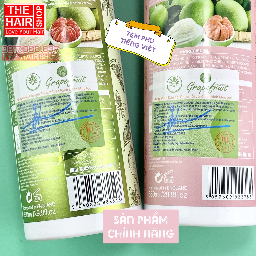 Trọn bộ cặp dầu gội xả,tinh dầu dưỡng Bưởi VALERT GRAPEFRUIT 850ml kích thích mọc tóc,phục hồi tóc khô xơ hư tổn | BigBuy360 - bigbuy360.vn