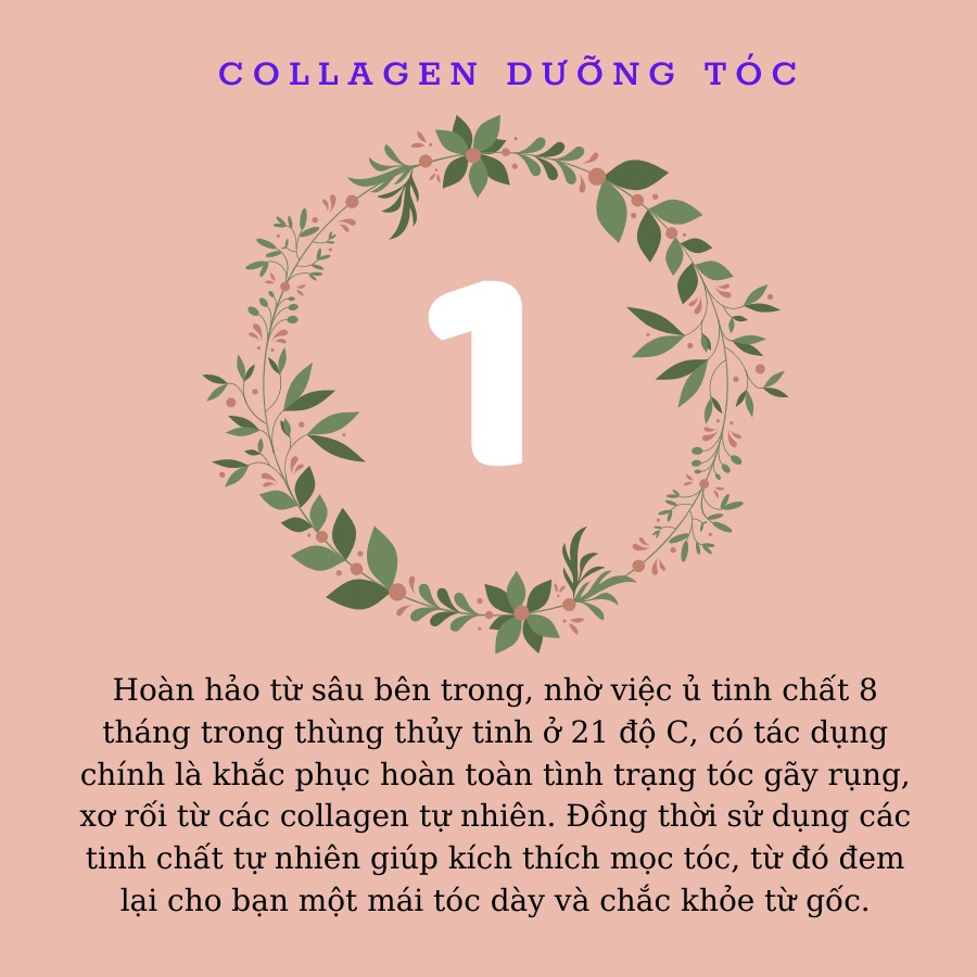 Serum Tinh Chất Collagen Giúp Dưỡng Tóc, Giảm Gãy Rụng, Phục Hồi Và Kích Moc Tóc - Bio Gold Hair Fcare