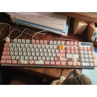 Keycap dành cho nút Shift, Enter, Tab, Backspace, Ctrl, Alt, Fn