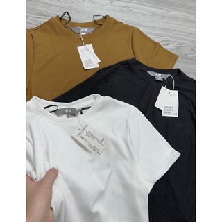 Set 3 áo len tăm cộc tay chất đẹp túi bozip (ảnh thật)
