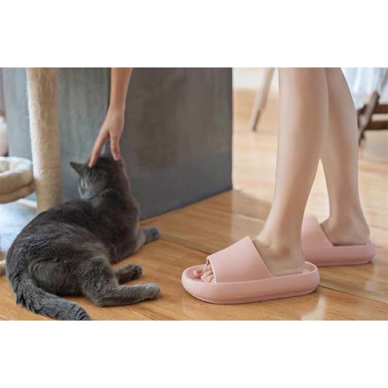 PASS DÉP BÁNH MÌ HÀNG TỐT New 100%