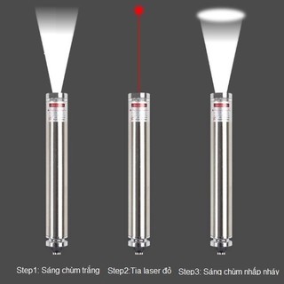 Đèn Laser Trêu Chó Mèo 3 Chế Độ