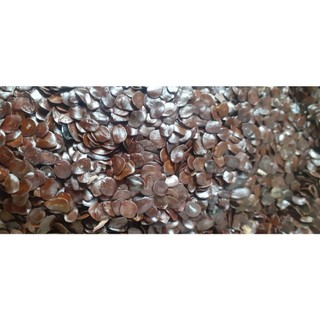 250 gram hạt muồng đen giống