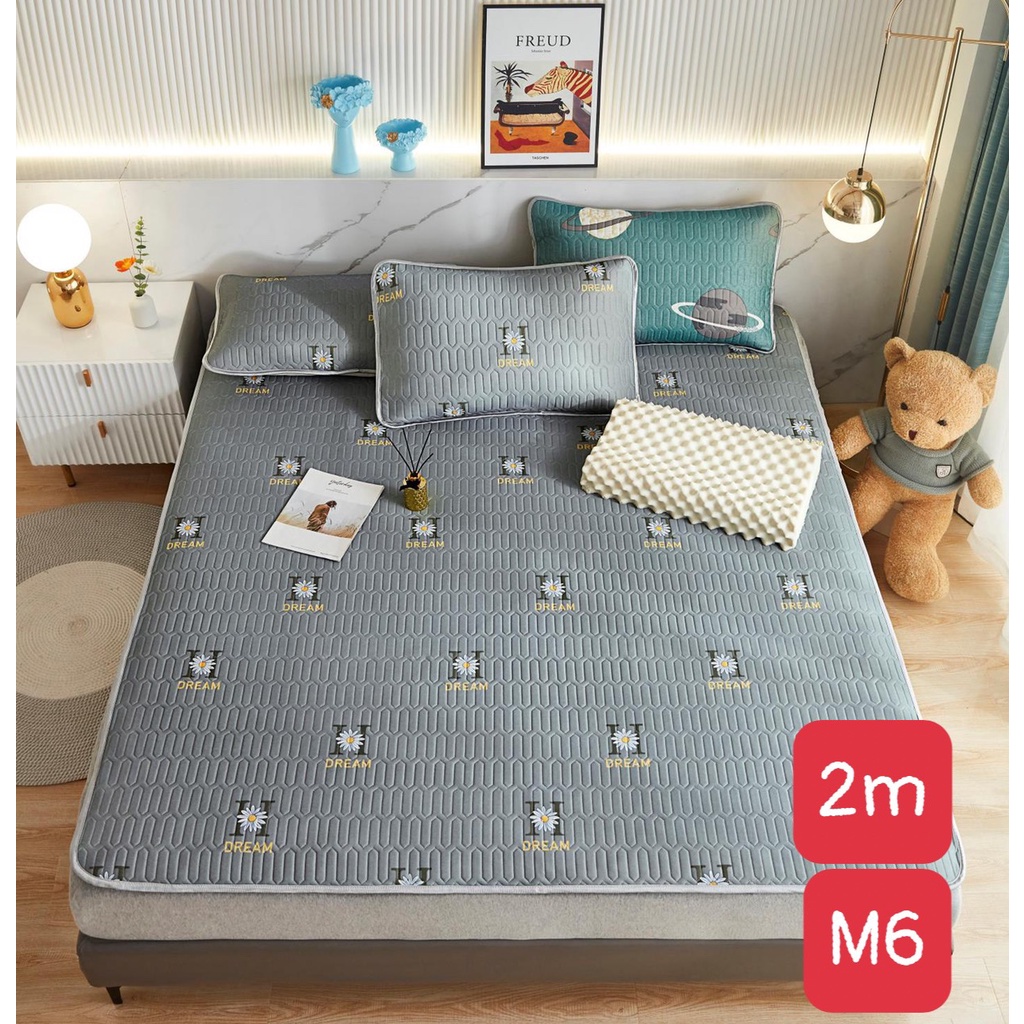 Chiếu điều hòa tencel cao su non 5D-CH16