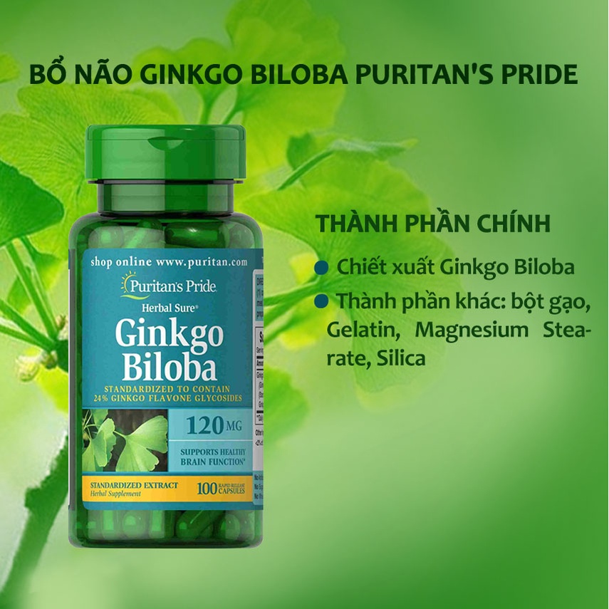 Tuần hoàn não hoạt huyết dưỡng não Puritan’s Pride Ginkgo Biloba Standardized Extract 120 mg 100 viên