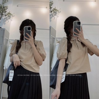 áo điệu cổ bẻ Sonn