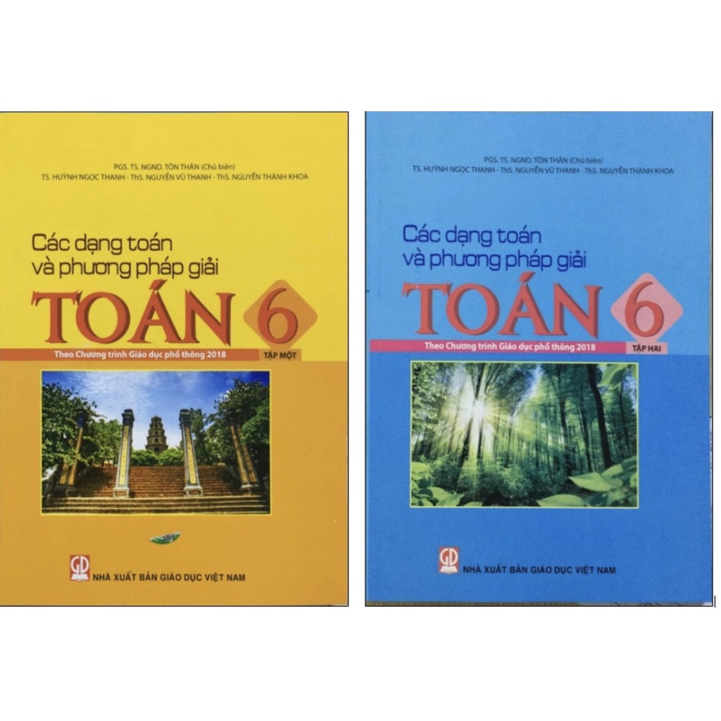 Sách - Các dạng toán và phương pháp giải toán 6 (Tập 1+2)