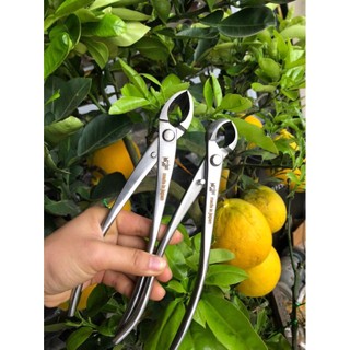 Set 2 kìm cạp tròn, cạp xéo thép trắng Nhật Bản