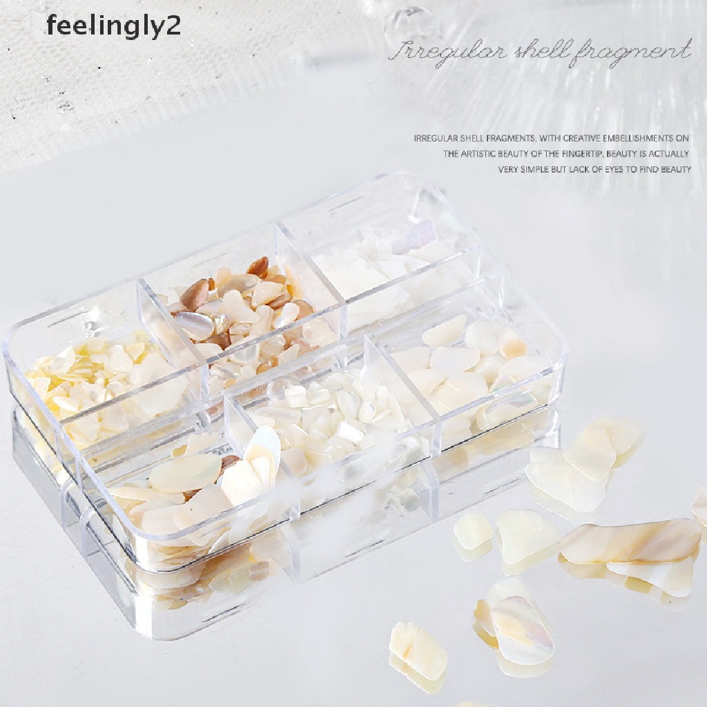 Hộp Vỏ Sò 3D Trang Trí Móng Tay 6 Ngăn Độc Đáo DIY
