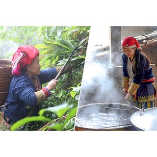 Nước tắm Dao đỏ Sa Pa Green (Can 2 lít)