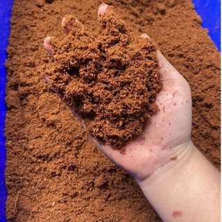 [ Loại tốt- ít xơ] Mụn dừa vi sinh lót chuồng cho bò sát, giá thể trồng cây, hoa kiểng 1kg đã qua xử lí | GINA GARDEN
