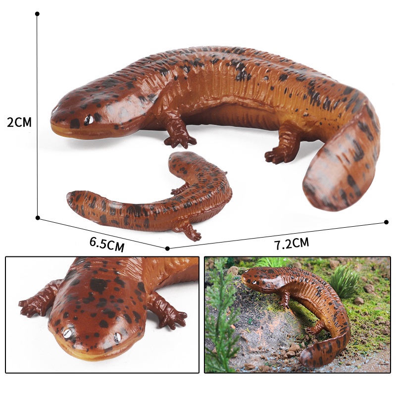 Đồ trang trí Tôm Cua / Cá Sinh Vật Biển Trưng Bày Trang Trí Cho Bé