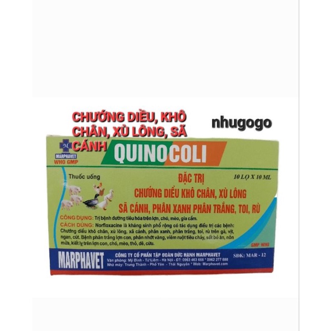 Combo 10 lọ * 10ml Quinocoli hsd 25/01/2026
