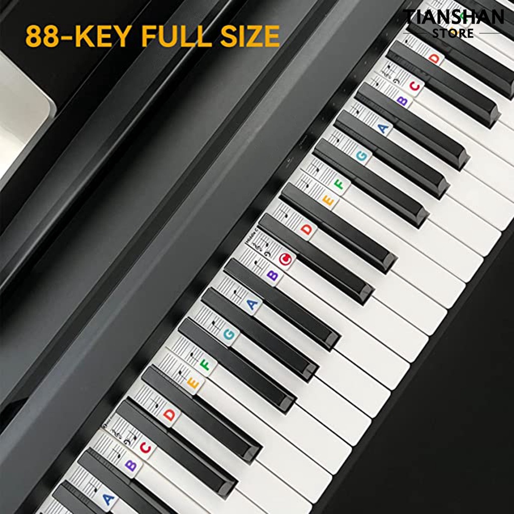 1 Bộ Đàn Piano 88 Phím Có Thể Tháo Rời Tiện Dụng Cho Người Mới Bắt Đầu