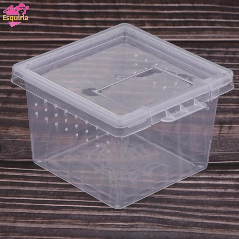 Bộ 40 Hộp Đựng Thức Ăn Trong Suốt Cho Bò Sát / Bò Sát / Thằn Lằn / Bò Sát